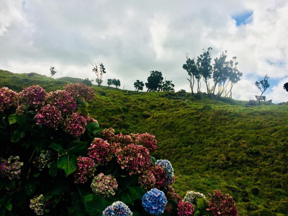 Villa Da Madalena エクステリア 写真